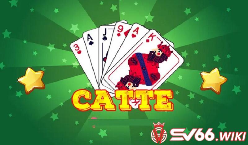 Sơ lược thông tin về Catte